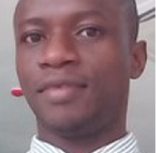 Solomon O. Oyebisi